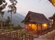 Menginap di Tengah Hutan? Coba Eco-Lodge Ini!
