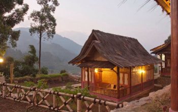 Menginap di Tengah Hutan? Coba Eco-Lodge Ini!