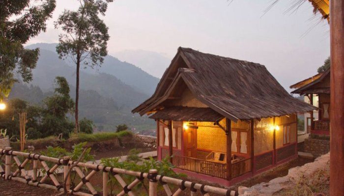 Menginap di Tengah Hutan? Coba Eco-Lodge Ini!