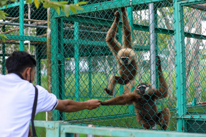 Mengenal Satwa Langka Lewat Wisata Edukasi