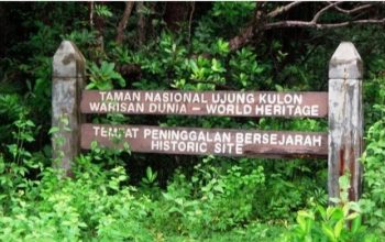 Mengenal Satwa Langka Lewat Wisata Edukasi
