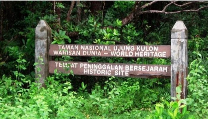 Mengenal Satwa Langka Lewat Wisata Edukasi yang Menarik