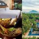 Hotel Unik Bertema Alam di Yogyakarta