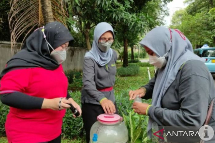 Kabar Terkini Tentang Kasus DBD dan COVID-19