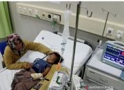 Kabar Terkini Tentang Kasus DBD dan COVID-19 di Indonesia
