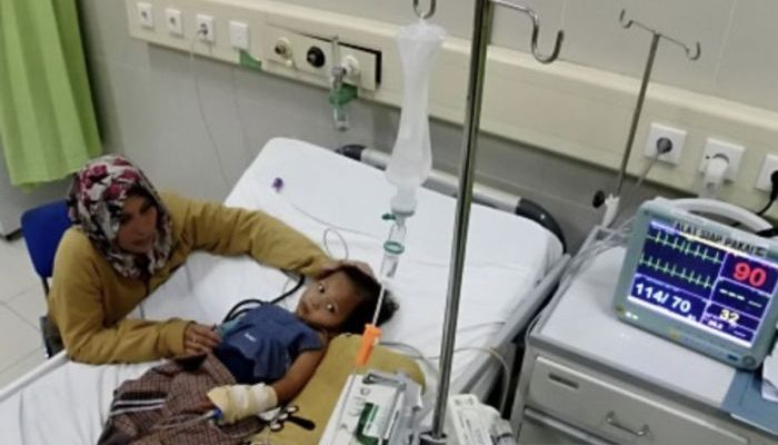 Kabar Terkini Tentang Kasus DBD dan COVID-19 di Indonesia