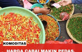 Strategi Pemerintah Tekan Lonjakan Harga Cabai