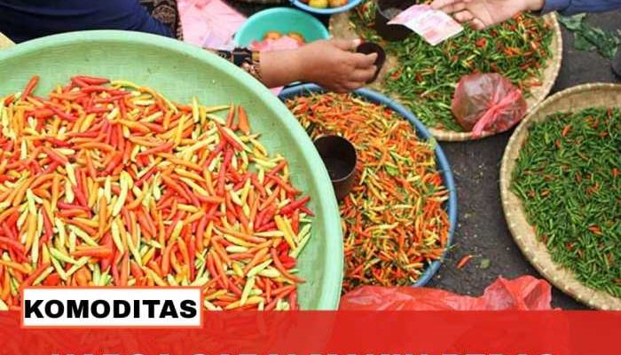 Strategi Pemerintah Tekan Lonjakan Harga Cabai Secara Efektif