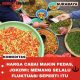 Strategi Pemerintah Tekan Lonjakan Harga Cabai Secara Efektif