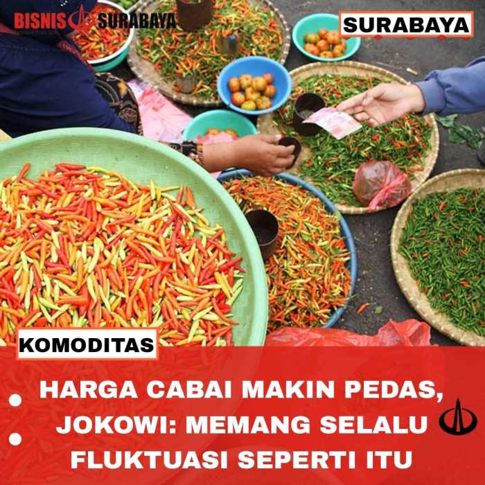 Strategi Pemerintah Tekan Lonjakan Harga Cabai