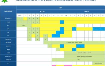 Jadwal Imunisasi Anak IDAI 2017
