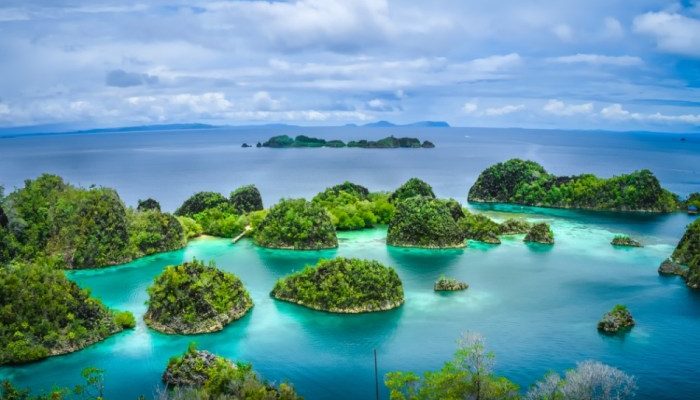 Sorotan Pekan Ini Tambang di Raja Ampat dan Transportasi Libur Idul Adha