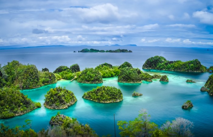 Berita Tentang Paket Liburan Raja Ampat Terkini | Bareksa Sorotan Pekan Ini: Tambang di Raja Ampat dan Transportasi Libur Idul Adha