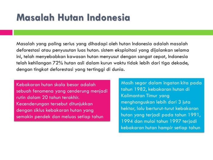 Deforestasi Masih Jadi Tantangan Serius Nasional