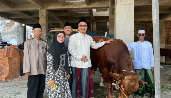 Sapi Kurban Prabowo Tiba di Sejumlah Daerah, Ini Penampakannya