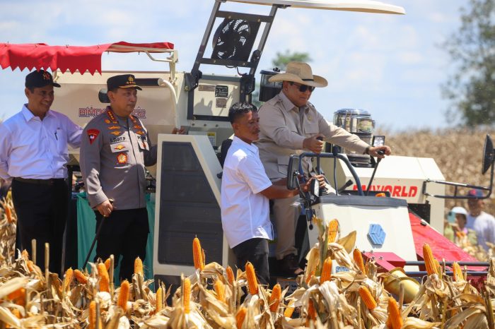Mentan Amran Dampingi Presiden Prabowo Pimpin Panen Raya Jagung Mentan Amran Dampingi Presiden Prabowo Pimpin Panen Raya Jagung