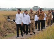 Prabowo Turun Langsung Pimpin Panen Raya Nasional
