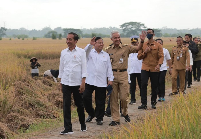 Ternyata ini Alasan Jokowi Mengajak Prabowo Panen Raya Padi di Jateng, Hmmm Prabowo Turun Langsung Pimpin Panen Raya Nasional