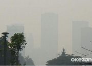 Peringatan WHO tentang Polusi Udara dan Gangguan Pernapasan
