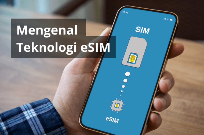 Buy Indonesia eSIM | Unlimited Data Plans | Best eSIM for Indonesia – ETravelSim Buy Indonesia eSIM | Unlimited Data Plans | Best eSIM for Indonesia – ETravelSim