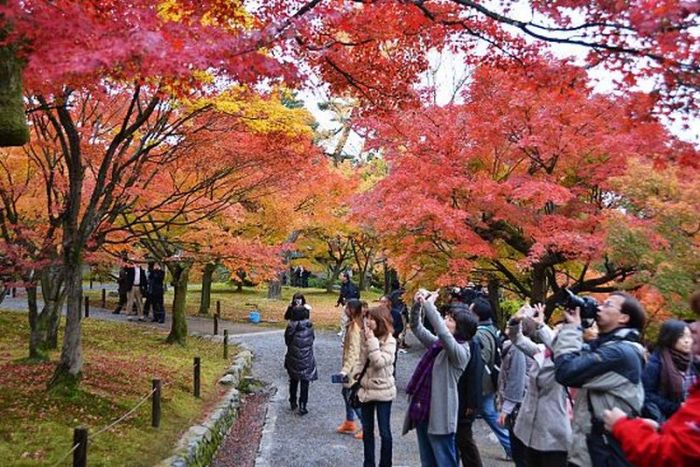 Tips Travel Ke Jepang: Musim Apa Paling Indah?