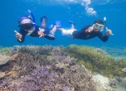 Spot Snorkeling Terbaik di Indonesia