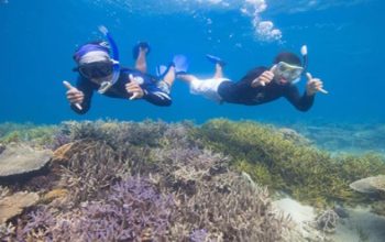 Spot Snorkeling Terbaik di Indonesia