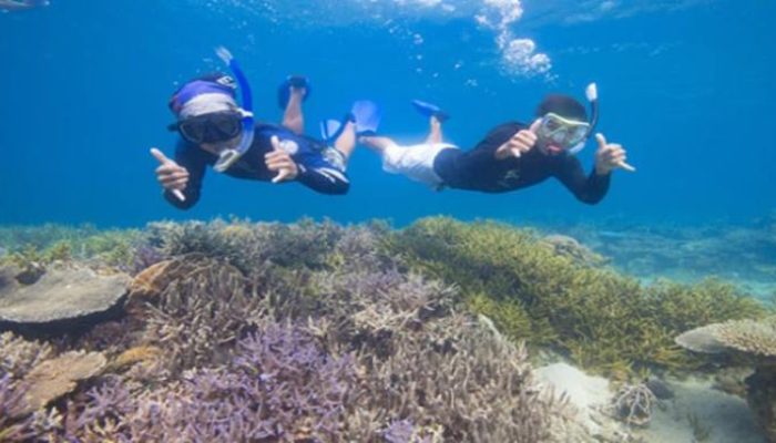 Spot Snorkeling Terbaik di Indonesia untuk Petualangan