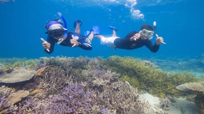 Spot Snorkeling Terbaik di Indonesia