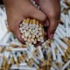 DPR Minta Pemerintah Fokus Berantas Rokok Ilegal untuk Tingkatkan Penerimaan Negara