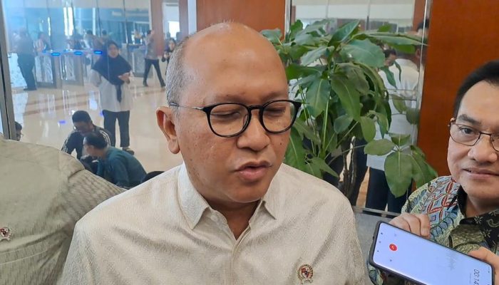 Merger Pelita Air dan Garuda Indonesia Masih dalam Proses Evaluasi Menurut Bos Danantara
