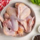 10 Manfaat Ayam bagi Tubuh sebagai Sumber Protein Terbaik