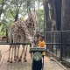 Uji Coba Wisata Malam Ragunan, Pemprov DKI Tambah Lampu & Siagakan Satpol PP