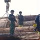 Tumpukan Kayu Pembalakan Liar Hutan Sumbar Rugikan Negara Rp 239 Miliar