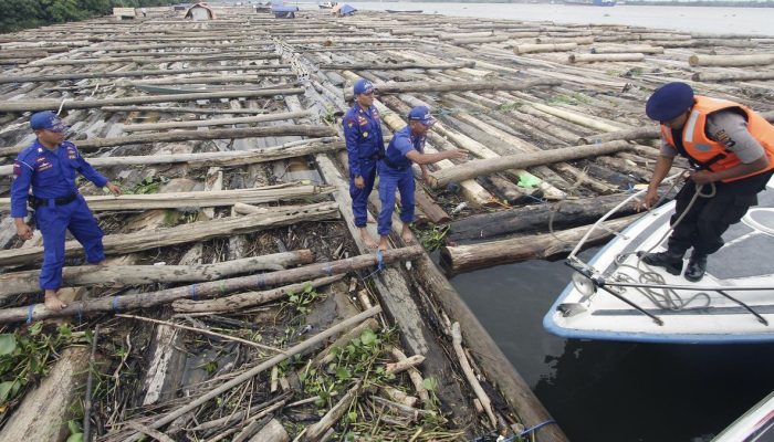 4.610 Kubik Kayu Ilegal Disita di Gresik dengan Kerugian Negara Hampir Rp240 M