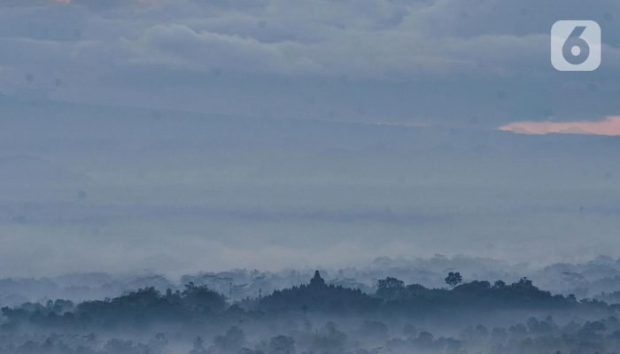 Wisata Desa Energi Karangrejo Borobudur Masuki Pasar Eropa