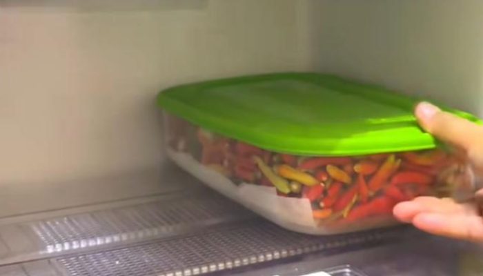 Tips Menyimpan Cabai di Kulkas Agar Awet dan Tetap Segar