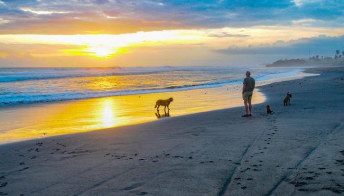 Pasut Beach, Ketenangan di Pesisir Tabanan dan Pesona Senja yang Menawan