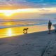 Pasut Beach, Ketenangan di Pesisir Tabanan dan Pesona Senja yang Menawan