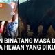 Kebun Binatang Masa Depan Hewan Hidup Bebas Tanpa Penjara