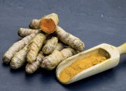 Resep Jamu Saintifik serta Cara Pengolahan untuk Mengatasi Ambeien