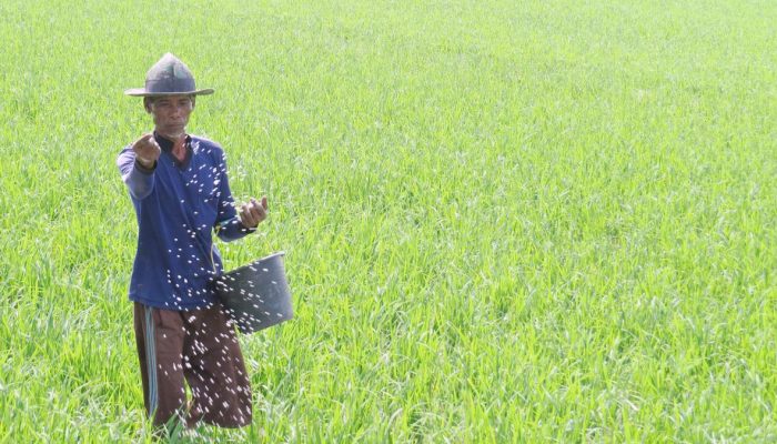Perubahan Subsidi Pupuk Sebagai Titik Balik Efisiensi Industri Pupuk Nasional