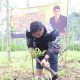 Anggota DPR Tanam 888 Bibit Pohon di Lumajang Jatim untuk Masa Depan