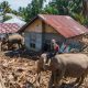 Gajah Bantu Bersihkan Puing Banjir, Bukti Gajah Sebagai Pelindung Manusia
