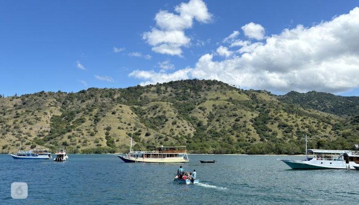 Pelaku Wisata yang Merusak Terumbu Karang di Labuan Bajo Dikenakan Sanksi Administratif