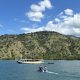 Pelaku Wisata yang Merusak Terumbu Karang di Labuan Bajo Dikenakan Sanksi Administratif