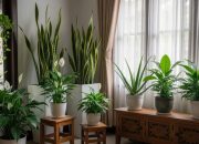 8 Jenis Tanaman Hias Ideal untuk Sudut Ruangan dengan Pencahayaan Rendah