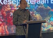 Indonesia Sepakati Alokasi Rp 587 Miliar untuk Pelestarian Terumbu Karang