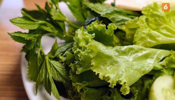 Serat Bantu Kendalikan Lemak dan Kolesterol Tubuh agar Tidak Kekurangan