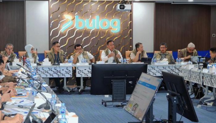 Strategi Penugasan Bulog 2026, Target Serap 4 Juta Ton Beras